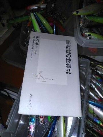 dsfnn3w7rajce2x7y6vp_480_480-5f7955e8.jpg