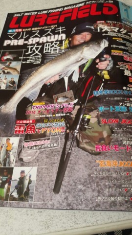 dskfyc86ex577ash5c6j_518_920-293295eb.jpg