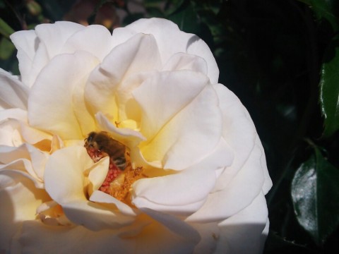 dsrjyhxgmvye53mk7t9d_920_690-b699b202.jpg
