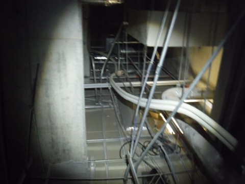 dt4hexzgti492y96dxbh_480_480-bf6b59a8.jpg