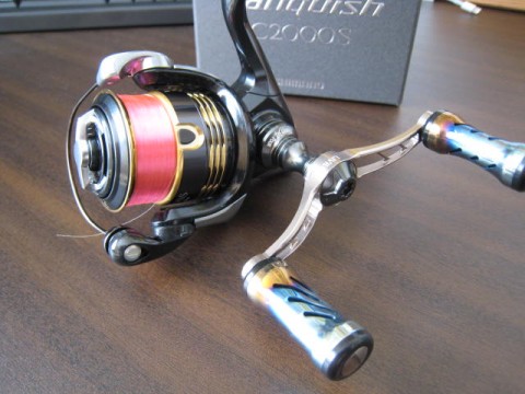 dt5gpb2xsd2dxigddrgo_480_480-7f60ada2.jpg