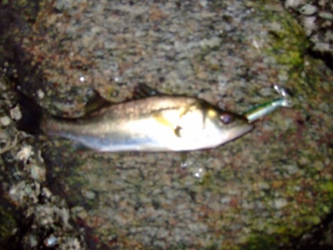 dtbreg23yzrxhnofuofv_480_480-370a04a3.jpg