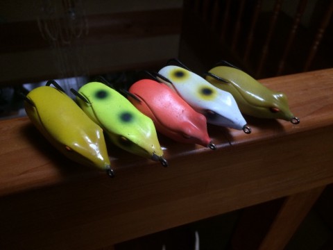dtcxuhib4k9mxs452kf9_920_690-f56d2e9b.jpg