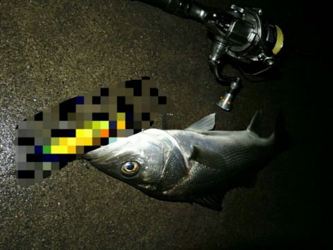 dtdga39eyduh8hcy89xd_920_690-1e74e1fe.jpg
