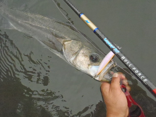 dtp8cjvgk7srwuauh9to-6814e91a.jpg