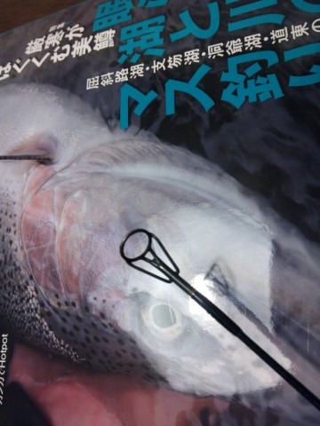 dtpur26e9i8cmjn2wwm7_690_920-c267019c.jpg