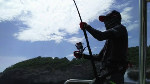 dtt7t674x43zyj7apwjf_480_480-110a1ebf.jpg