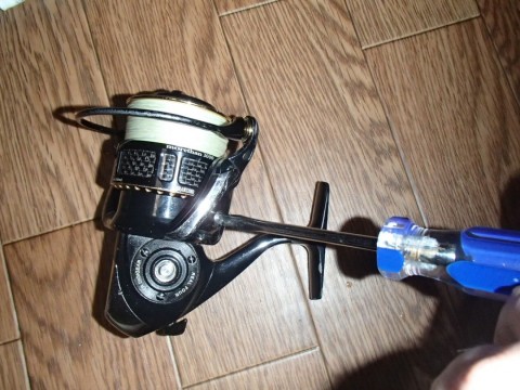 dtv33r78zns5o2jtdjkn_480_480-df4938b5.jpg