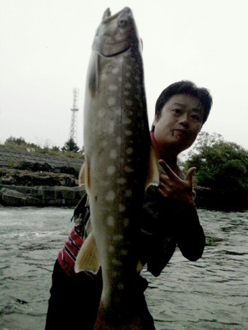 du5pj8ghpz28j5psayjn_480_640-f3860fc0.jpg