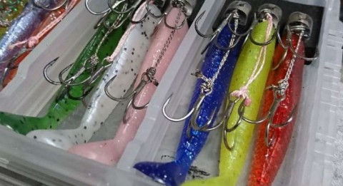dueh729kjchi7vj9657u_480_480-12c01a57.jpg
