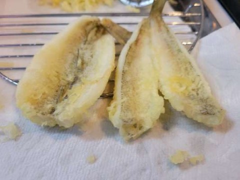 dunfgki6h3ibsjsos5ec_480_480-14d4e5bb.jpg