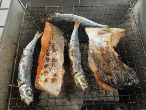 duodcyzw9p5ogfnxgfzv_480_480-80099763.jpg