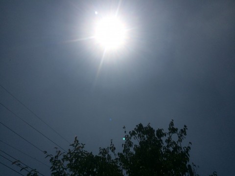 dut2zk6z3t6g73xr29b4_480_480-11743db4.jpg