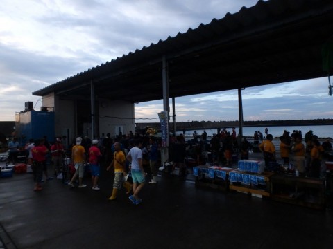 duvhbaywck9ui5fistnz_480_480-312f0976.jpg