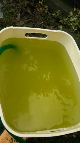 duw8j9cftnsocdhhjbmu_518_920-df33c9a7.jpg