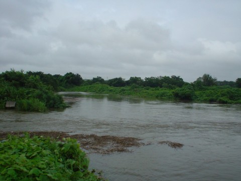 duyxivnyg25wymp283sk_480_480-680b0c8f.jpg
