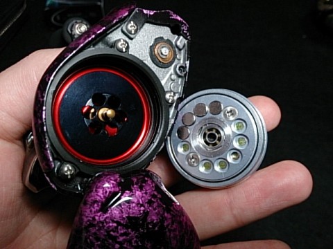 dv3ew2n6z4gp2vhtk2rc_480_480-1e907091.jpg