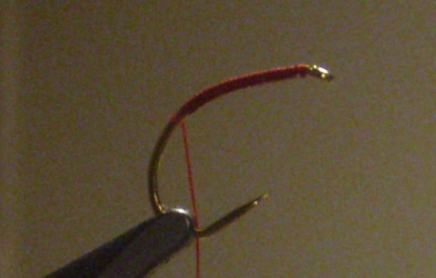 dv9d4wmehrjh4cvwv4jx_480_480-b2e0f6e2.jpg