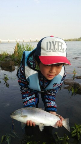dvj4vsee3xjjeu2t6tk4_518_920-e7363bd8.jpg