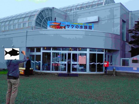 dvrh3hsvb7jvsp2cshnt_480_480-c9783e0a.jpg
