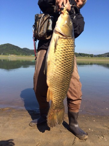 dvurv85g39amc9fuiue7_480_480-59ace890.jpg