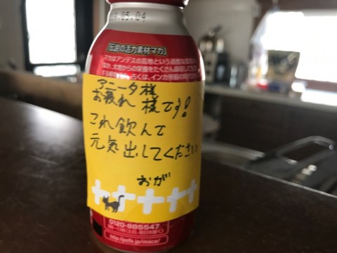 dvuwzrhu8x3jmohj3b4y_920_690-c5e037f9.jpg