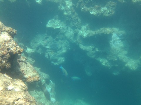 dwc7xtohy54xjky3koud_920_690-2874508d.jpg