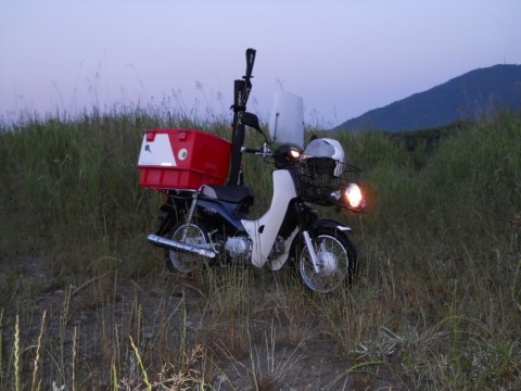 dwdik7868hf62exbtfeu_480_480-60868e50.jpg
