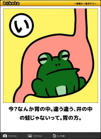 dwgcviwb32hmpg5siyoi_480_480-081a7de0.jpg
