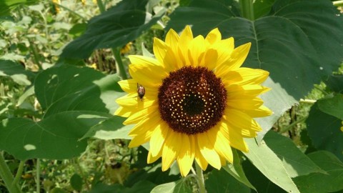 dx5vgnmrp338c4jxwjds_480_480-c91ae639.jpg