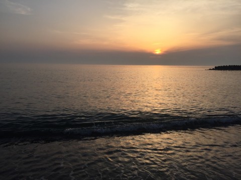 dx8apwxdy5udnovrssc8_920_690-3d1017b8.jpg