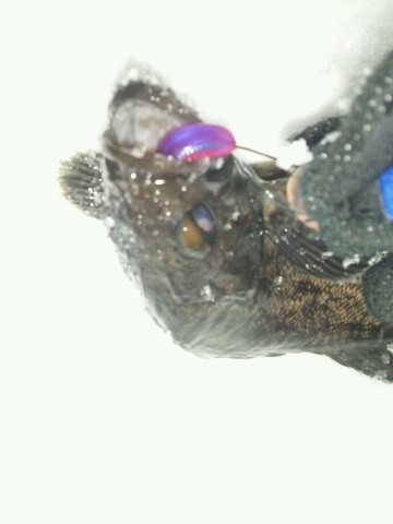 dxm96vwoxrdo5pwxacgj_690_920-b7f5774c.jpg