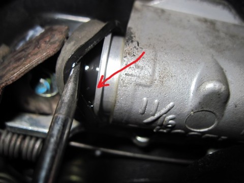 dxpnwu63sdsnzwicwtzj_480_480-300fc010.jpg