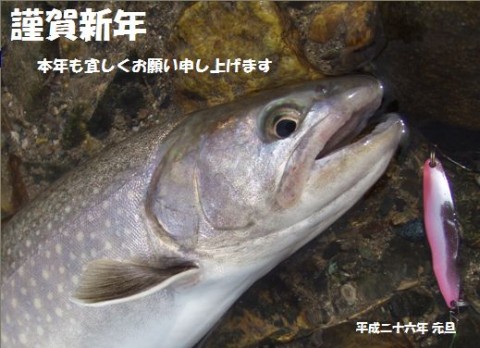 dxzfnv78hnamwrisus49_480_480-cb3827cd.jpg