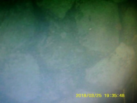 dyswbdb7cf9r9pwttufb_480_480-6f963050.jpg