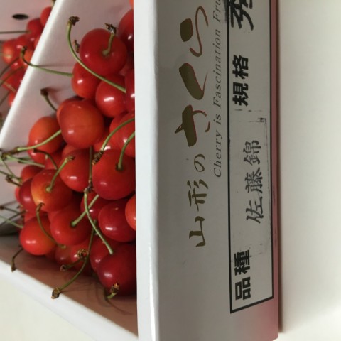 dywoo93px7vicv37ii3g_480_480-5c37bd88.jpg