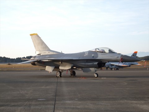 dz3uvexyzrrij56om6zk_480_480-3b0a8525.jpg