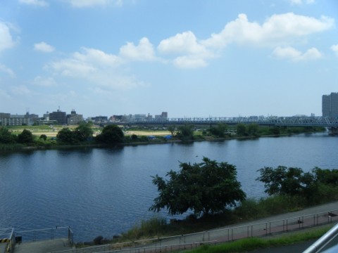 dzbcsgu5hgjimuw6498r_480_480-75a3a9e1.jpg