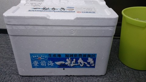 dzc74akv8nzo59gpk2c7_480_480-84e69bba.jpg