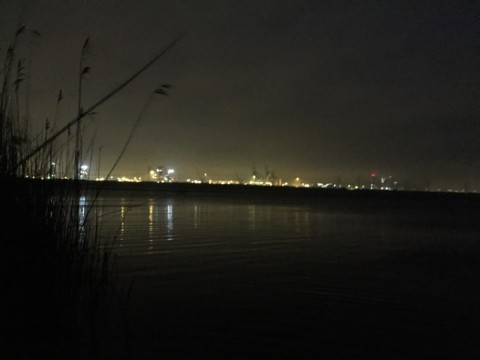 dzcjvss68r7ervkk85ym_480_480-18000256.jpg