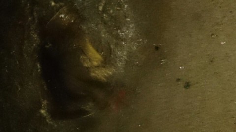 dzk8zkmwijvxbyvgvsbb_920_517-4c37aadd.jpg