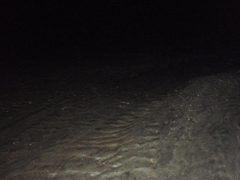 dznwbwgnfs7ib759wxbp_480_480-82c6c549.jpg