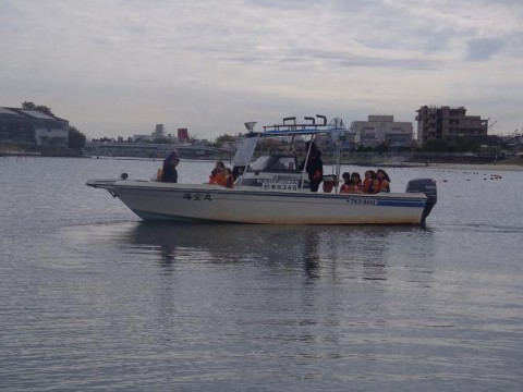 dzpt7ho9kvwnotc2nnfd_480_480-1d83eec6.jpg