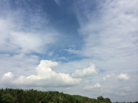 e25a57942j3zm4kxkxyf_480_480-e118fb73.jpg