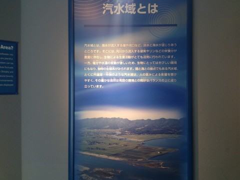 e2897eecah66nzms6aus_920_690-8ff66738.jpg