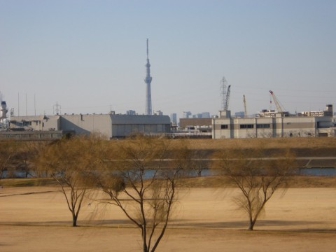 e28smaha62h875kjmj62_480_480-dd3d27c8.jpg