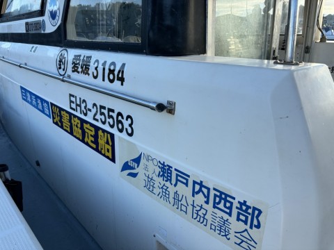 e2mo425cica29u5z4udh_480_480-a2118080.jpg