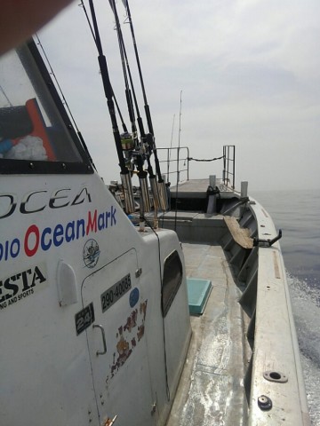 e2yaaseo652e6iurij6u_690_920-6e86a640.jpg
