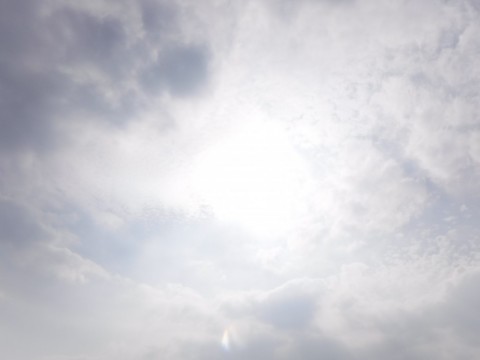 e33sdv9is549688ndacg_480_480-7ab472b1.jpg