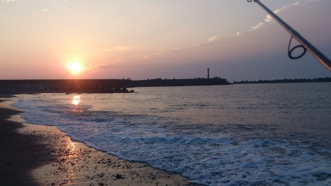 e36787npi4msd38syh6h_480_480-547ab7f6.jpg